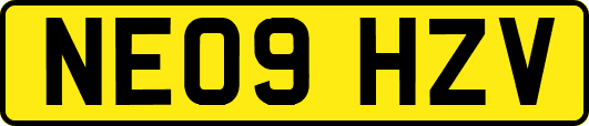 NE09HZV