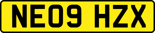 NE09HZX