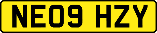 NE09HZY
