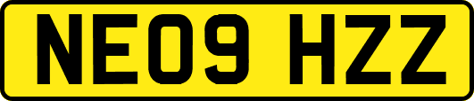 NE09HZZ