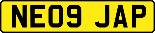 NE09JAP