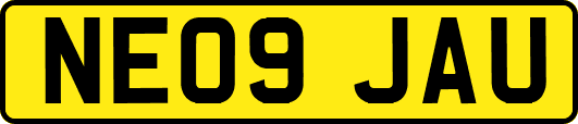 NE09JAU