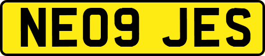 NE09JES