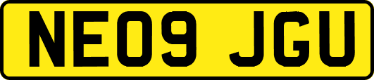 NE09JGU