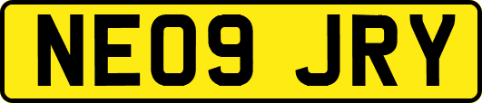 NE09JRY