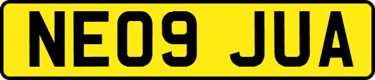 NE09JUA