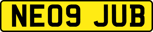 NE09JUB
