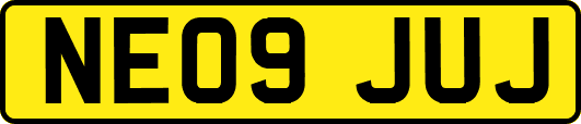 NE09JUJ