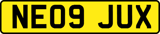 NE09JUX