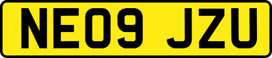 NE09JZU