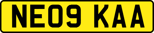 NE09KAA