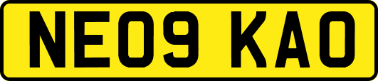 NE09KAO
