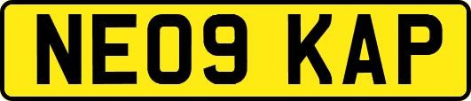 NE09KAP