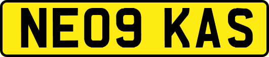 NE09KAS