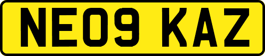 NE09KAZ