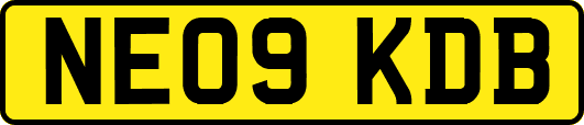 NE09KDB