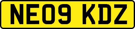 NE09KDZ