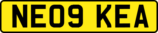 NE09KEA