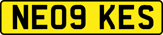 NE09KES