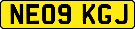 NE09KGJ