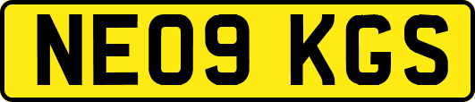 NE09KGS