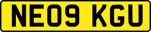 NE09KGU