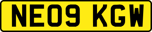 NE09KGW
