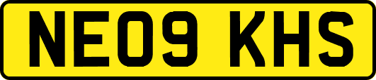 NE09KHS