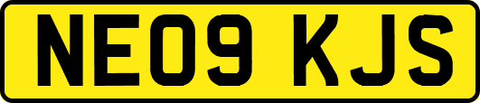NE09KJS