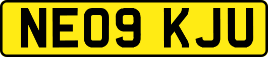 NE09KJU
