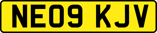 NE09KJV