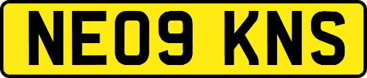 NE09KNS