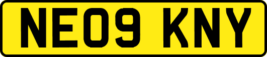 NE09KNY