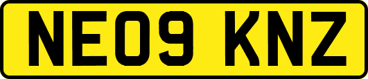 NE09KNZ