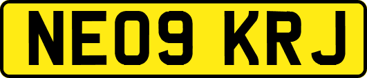 NE09KRJ