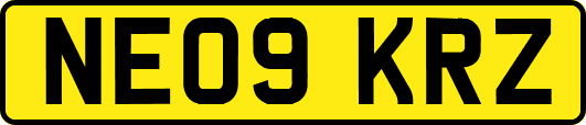 NE09KRZ