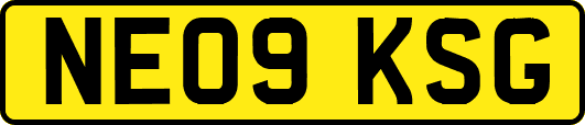 NE09KSG
