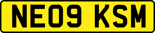 NE09KSM