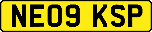 NE09KSP