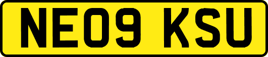 NE09KSU