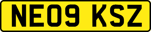 NE09KSZ