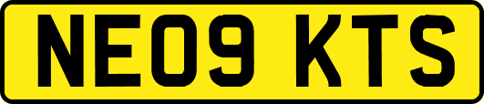 NE09KTS