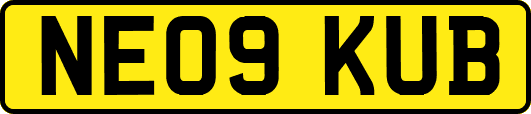 NE09KUB