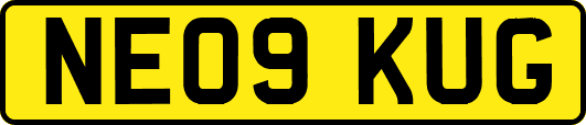 NE09KUG