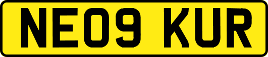 NE09KUR