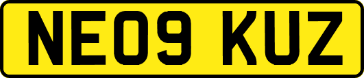 NE09KUZ