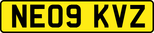 NE09KVZ