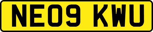 NE09KWU