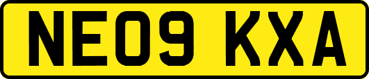 NE09KXA