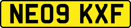 NE09KXF
